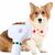 FurryFusion  Brosse pour animaux de compagnie 2 en 1