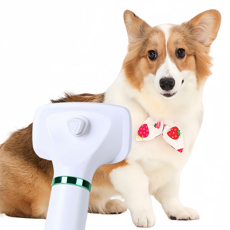 FurryFusion  Brosse pour animaux de compagnie 2 en 1
