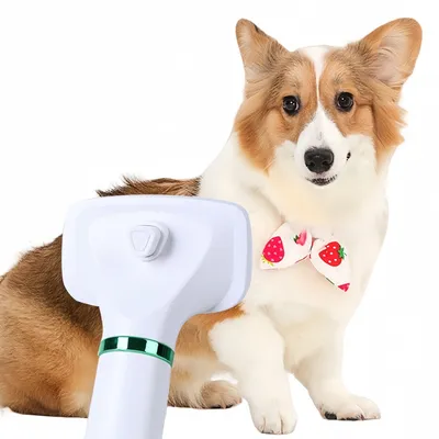 FurryFusion  Brosse de toilettage pour animaux 2 en 1