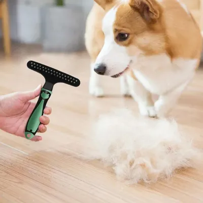 FurryFusion Peigne pour animaux de compagnie Élimine les poils et les nœuds