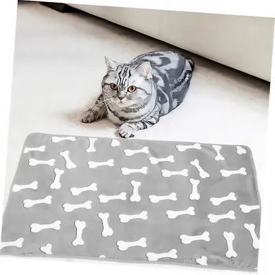 FurryFusion Douce Couverture pour Animaux de Compagnie