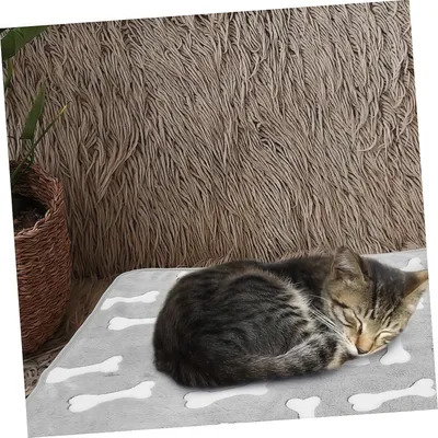 FurryFusion Douce Couverture pour Animaux de Compagnie