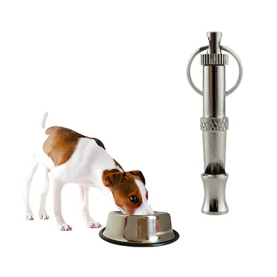 FurryFusion Sifflet de dressage pour chien