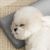 FurryFusion Oreiller pour animaux