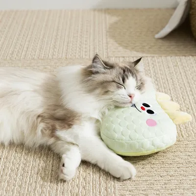 FurryFusion Oreiller pour animaux