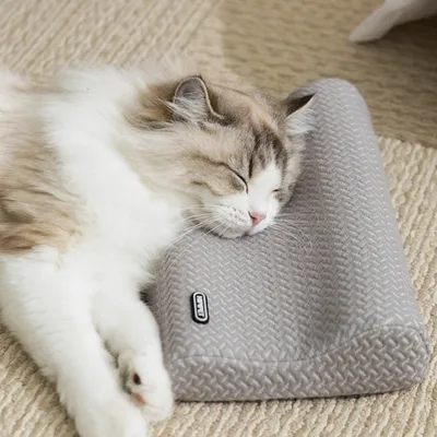 FurryFusion Oreiller pour animaux