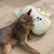 FurryFusion Oreiller pour animaux