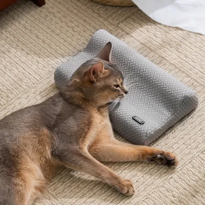 FurryFusion Oreiller pour animaux