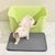 FurryFusion Tapis litière double couche pour chat