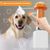 FurryFusion - Distributeur de savon automatique pour chien