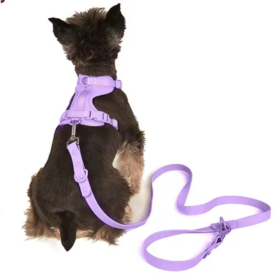FurryFusion Harnais pour chien - Violet