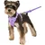FurryFusion Harnais pour chien - Violet