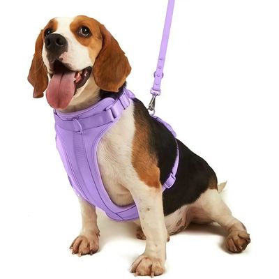 FurryFusion Harnais pour chien - Violet