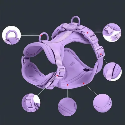 FurryFusion Harnais pour chien - Violet