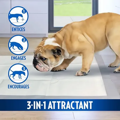 FurryFusion Puppy Pads - Medium (30*40Inches) - 50 Counts