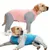 FurryFusion – Sommerjacke gegen Haarausfall für Hunde FurryFusion – Sommerjacke gegen Haarausfall für Hunde