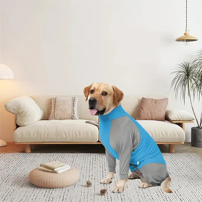 FurryFusion – Sommerjacke gegen Haarausfall für Hunde FurryFusion – Sommerjacke gegen Haarausfall für Hunde