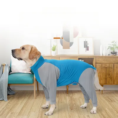 FurryFusion – Sommerjacke gegen Haarausfall für Hunde FurryFusion – Sommerjacke gegen Haarausfall für Hunde