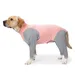FurryFusion – Sommerjacke gegen Haarausfall für Hunde