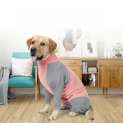 FurryFusion – Sommerjacke gegen Haarausfall für Hunde FurryFusion – Sommerjacke gegen Haarausfall für Hunde