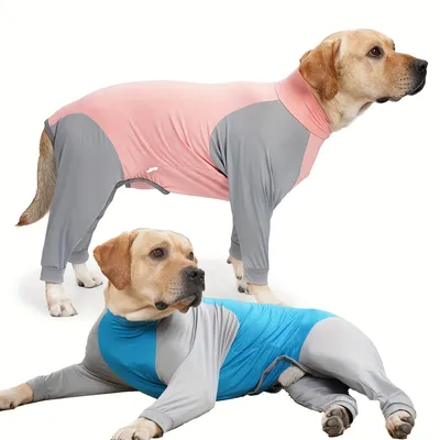 FurryFusion – Sommerjacke gegen Haarausfall für Hunde FurryFusion – Sommerjacke gegen Haarausfall für Hunde