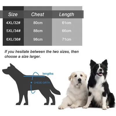 FurryFusion 2er-Pack Hundeshirts – 6XL