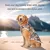 FurryFusion 2er-Pack Hundeshirts – 6XL