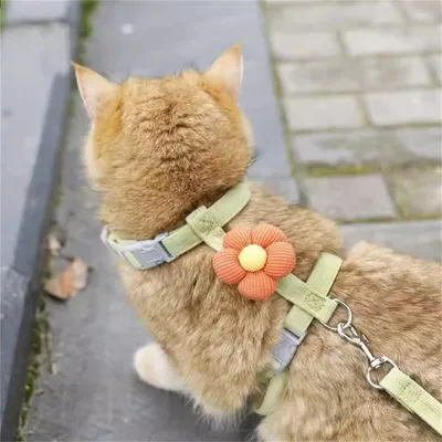 FurryFusion - Corde de Traction pour Chats Ensemble (1,8 m) FurryFusion - Corde de Traction pour Chats Ensemble (1,8 m)