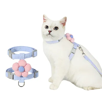 FurryFusion - Corde de Traction pour Chats Ensemble (1,8 m)