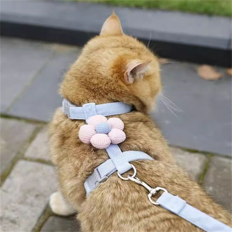FurryFusion - Corde de Traction pour Chats Ensemble (1,8 m)