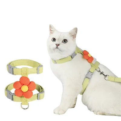 FurryFusion - Corde de Traction pour Chats Ensemble (1,8 m) FurryFusion - Corde de Traction pour Chats Ensemble (1,8 m)