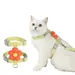 FurryFusion - Corde de Traction pour Chats Ensemble (1,8 m)