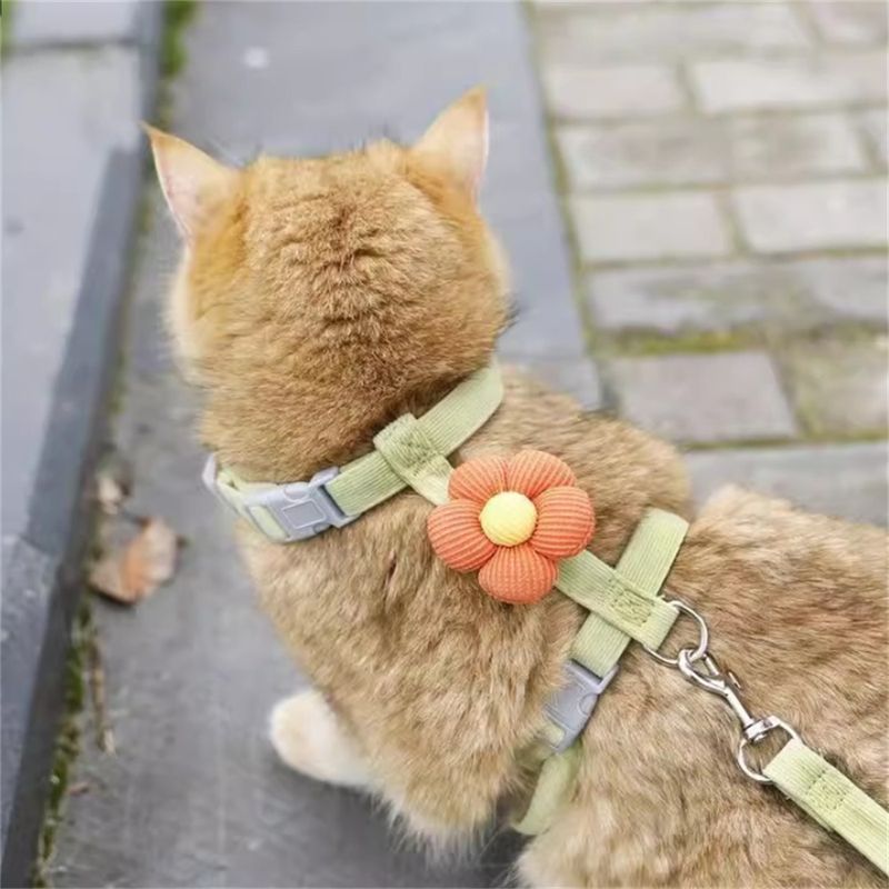 FurryFusion - Corde de Traction pour Chats Ensemble (1,8 m)