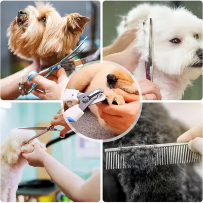 FurryFusion Ensemble de ciseaux de coiffure pour animaux