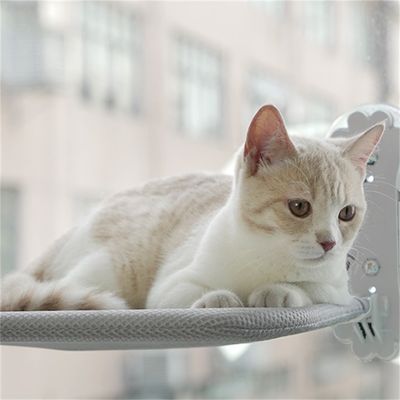 FurryFusion Hamac pour chat 45cmX30cm