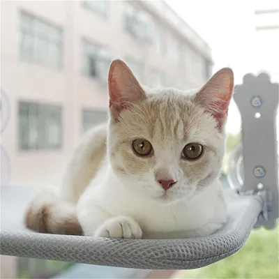 FurryFusion Hamac pour chat 45cmX30cm