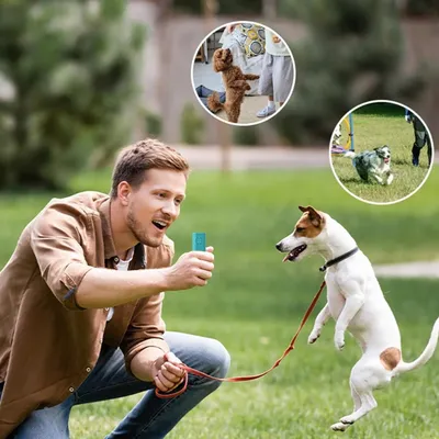 FurryFusion Mini répulsif ultrasonique pour chien