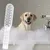 FurryFusion Pommeau de douche pour chien