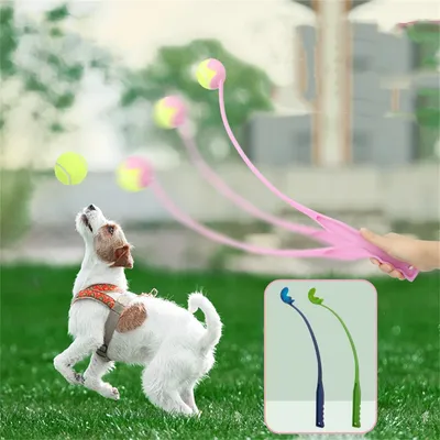 FurryFusion Lanceur de balles avec balle de tennis