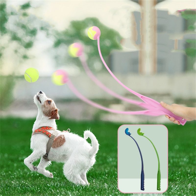 FurryFusion Lanceur de balles avec balle de tennis