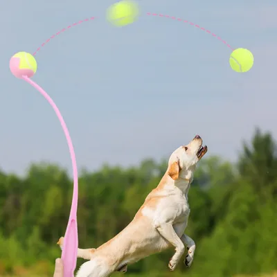 FurryFusion Lanceur de balles avec balle de tennis