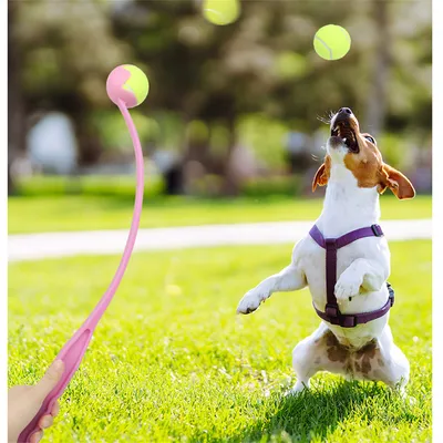 FurryFusion - Lanceur de Balle pour Chiens