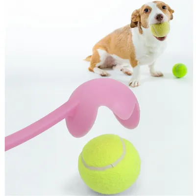 FurryFusion - Lanceur de Balle pour Chiens