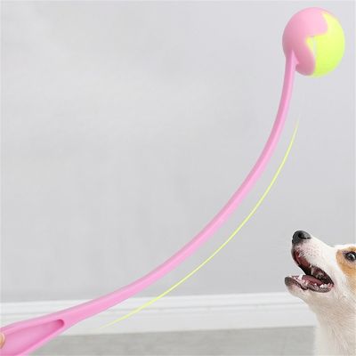 FurryFusion - Lanceur de Balle pour Chiens