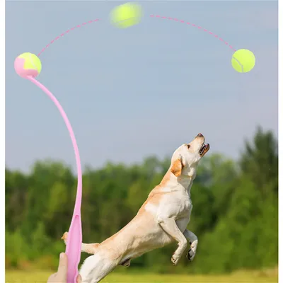 FurryFusion - Lanceur de Balle pour Chiens