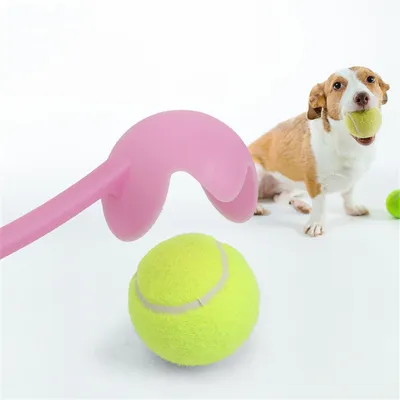 FurryFusion Lanceur de balles avec balle de tennis