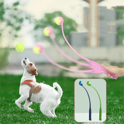 FurryFusion Lanceur de balles avec balle de tennis