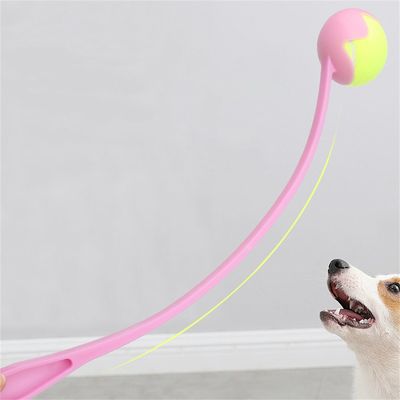 FurryFusion Lanceur de balles avec balle de tennis