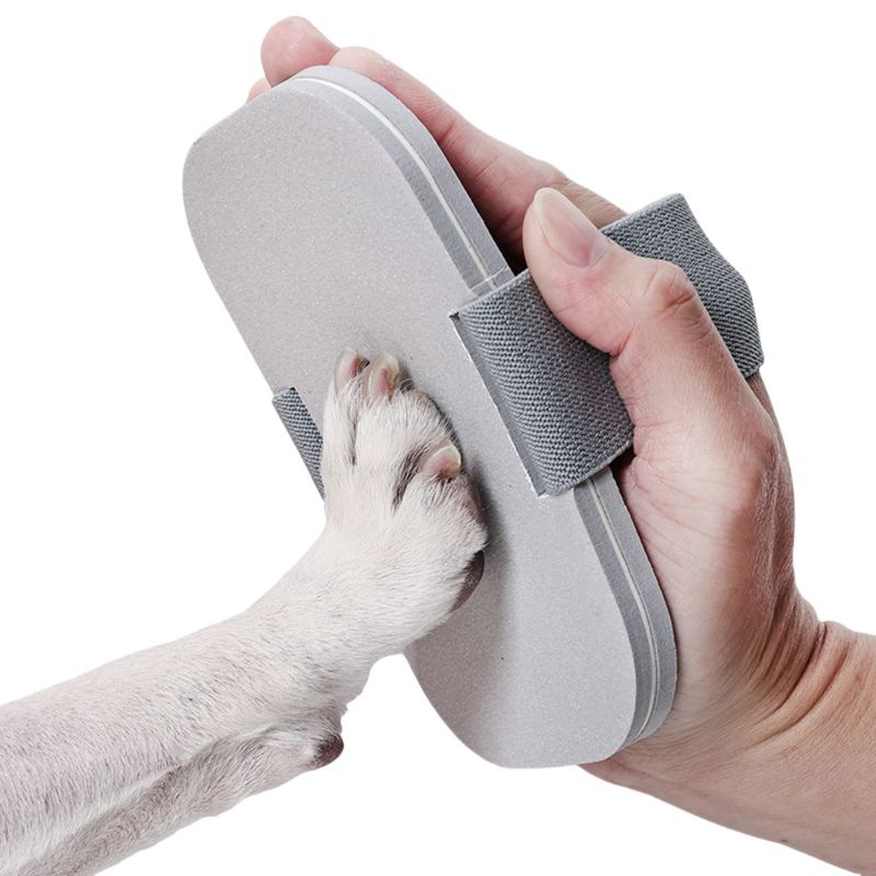 FurryFusion Broyeur à griffes pour chien