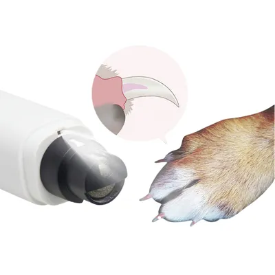 FurryFusion Lime à ongles électrique pour animaux de compagnie